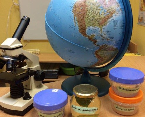Инвентарь для занятий по окружающему миру для детей
